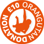 donate-£10-round-logo